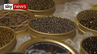 China to make caviar available to the masses [upl. by Nevaeh]