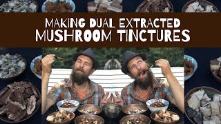 Making Dual Extracted Mushroom Tinctures [upl. by Airdnola]