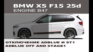 BMW X5 F15 B47 отключение AdBlue SCR и stage1  BMW F15 X5 25d AdBlue off SCR and Stage1 [upl. by Tayler]