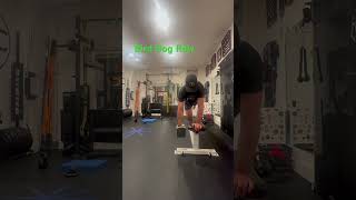 Bird Dog Row fitness motivation golffit [upl. by Giffy]