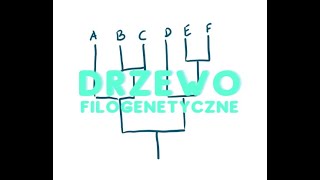 Jak odczytywać drzewa filogenetyczne [upl. by Matti735]