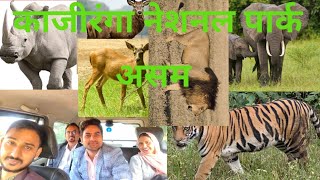 Kaziranga national park Kaziranga काज़ीरंगा राष्ट्रीय उद्यान असम mnsir kaziranganationalpark [upl. by Crystal]