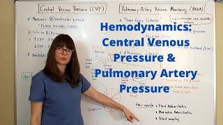 Hemodynamics Central Venous Pressure amp Pulmonary Artery Pressure Pulmonary Artery Wedge Pressure [upl. by Tory]