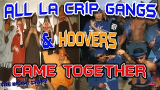 LA Gangs Had PEACE TALKS In South Los Angeles [upl. by Tarrsus828]