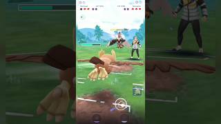 Ninetales Noctowl amp Kangaskhan in Summer Cup Pokemon go part 2 pokemongo 😱😱 [upl. by Ynohta]