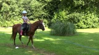 Colonie de vacances Lécurie fantastique  équitation et activités de la ferme [upl. by Ecila]