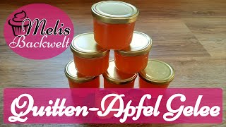 QuittenApfel Gelee mit dem Dampfentsafter ganz einfach selber machen 2021  Melis Backwelt [upl. by Luana753]