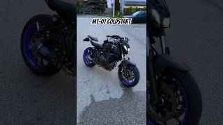 Yamaha MT07 Coldstart yamaha mt07 [upl. by Ecertak639]