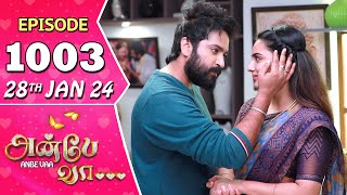 Anbe Vaa Serial  Episode 1003  28th Jan 2024  Virat  Shree Gopika  Saregama TV Shows Tamil [upl. by Reppep737]