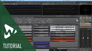 Overview of the Audio Montage in WaveLab Pro  Tutorials [upl. by Eneroc856]