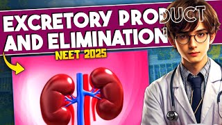 Excretory Products and Eliminations ONE SHOT Revision  Human Physiology ONE SHOT  NEET Biology [upl. by Sedberry]