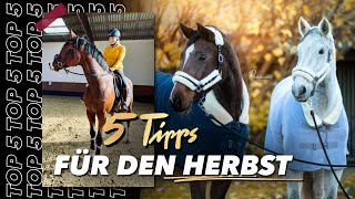 Gesund durch den Herbst mit eurem Pferd  Top 5 Tipps für euch [upl. by Erdnassac]