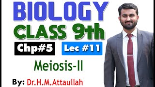 MeiosisII  Cell cycle  Chapter 5  9th class Biology  Lec11 [upl. by Eyaj]