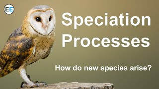 Speciation Processes  How do new species arise [upl. by Pufahl883]