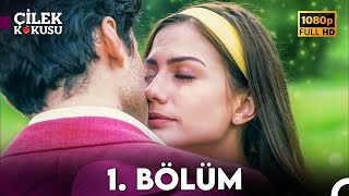 Çilek Kokusu 1 Bölüm ᴴᴰ [upl. by Hillel]