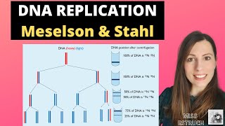 MESELSONSTAHL EXPERIMENT  dna recombination   BY PHANINDRA GUPTHA [upl. by Chellman]