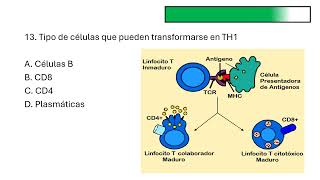 Preguntas del sistema inmunológico [upl. by Hanleigh65]