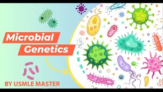 شرح ال Basic Bacteriology 🧫 amp Bacterial Genetics 🧬 USMLE [upl. by Ayanej]