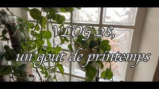 VLOG 28 un gout de printemps du jardin des plantes du tricot pull Trescao à ma façon [upl. by Trin]