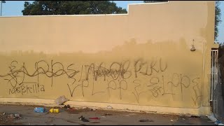 Lueders Park Piru Gang Related Homicide in Willowbrook [upl. by Steve864]