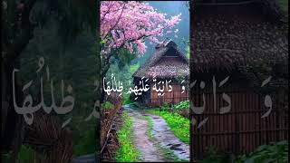 Most beautiful recitation of Quran in The World quran islam youtuber [upl. by Aaronson]