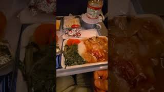 China Airlines Plane Food Check [upl. by Nelrsa432]