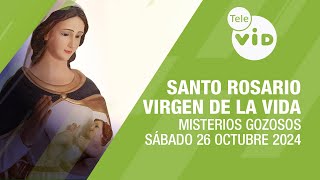 Santo Rosario Virgen de la VIDA Sábado 26 Octubre de 2024 📿 Misterios Gozosos TeleVID SantoRosario [upl. by Cora]