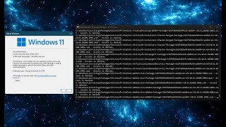 Destroying Windows 11 Build 26200 [upl. by Eyak]