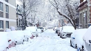 Massive Snowfall in Germany ❄️ 🇩🇪  Winter wonderland in Mittelherwigsdorf  Beautiful Village  4k [upl. by Mackay]