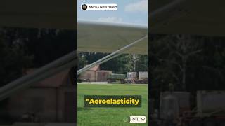 Do you know Aeroelasticity science engineering technology aviation aerospace ytshorts space [upl. by Stevena]