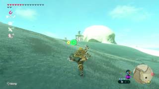 Lets Play Breath of the Wild  RedRun Episode 76 The Eighth Heroine [upl. by Brick]