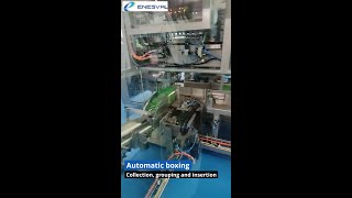 Automate bagging boxin and palletizing bags  Enesval [upl. by Nylecoj]