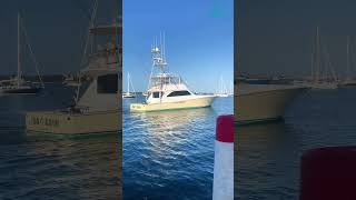 2001 Viking 61 Convertible  For Sale with HMY Yachts [upl. by Moriarty]