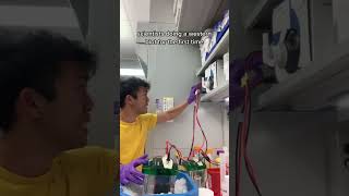 scientists doing a western blot for the first time [upl. by Noxin]