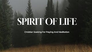 SPIRIT OF LIFE  Instrumental Soaking Worship Music  Holy Ground [upl. by Hermie799]