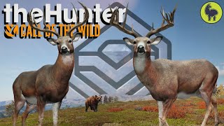 Double DIAMOND Whitetail on a LEVER ACTION Only Hunt theHunter Call of the Wild [upl. by Peltier902]