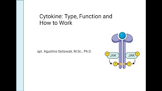 Cytokine [upl. by Arriaes]