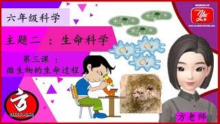 科学  六年级  微生物的生命过程  KSSR SEMAKAN  2021 [upl. by Langdon]