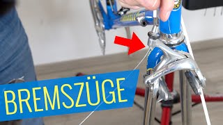 BREMSZÜGE AUSTAUSCHEN Campagnolo Record  Felix Oldtimer Projekt  Fahrradorg [upl. by Eloken375]