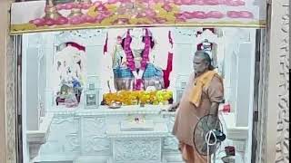 Maa Bhagvati Bhuvneshwari Mataji Live darshan [upl. by Granger843]