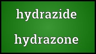 Hydrazide hydrazone Meaning [upl. by Liatris217]