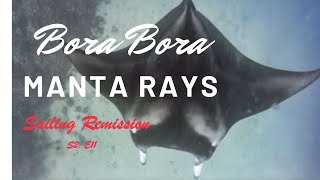 Manta Rays of Bora Bora S2 E11 [upl. by Amend741]