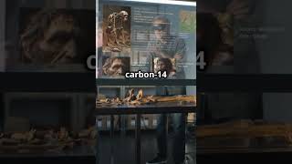 How carbon dating worksfacts food curiosity science [upl. by Girand]