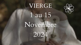 Vierge ♍️ 1 au 15 Novembre 2024  L’Ours  🐻 [upl. by Rydder]