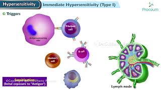 Hypersensitivity Type I reaction Immediate or allergic reaction  Pathology Lecture [upl. by Bissell]