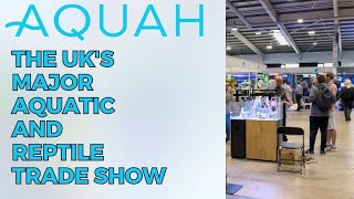 Visiting AQUAH 2024  The UK’s Largest Aquatic and Reptile Event [upl. by Aneliram]