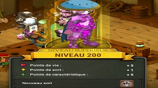 Dofus Ouginak 1 à 200 en 1h10 [upl. by Arikehs279]