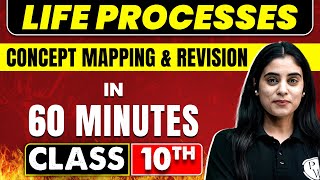 Life processes in 60 Minutes  Science Chapter 5  Class 10th CBSE Board [upl. by Godewyn]