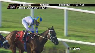 09022024 – Hipodromo Maroñas – Carr 3 – JILLY BEAN 2017 [upl. by Embry]