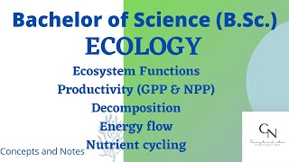 Ecosystem functions  Productivity  Primary and secondary productivity GPP and NPP  For BSc [upl. by Akanke187]